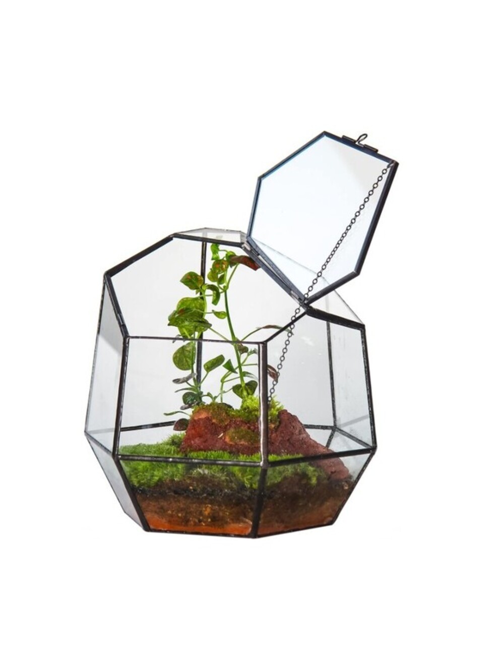 Geometric Terrarium with Door, Black
